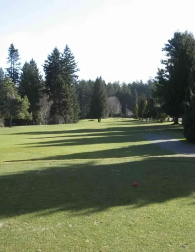 4th Hole 2 min scaled e1580337194823