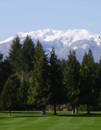 7th Hole Mt. Arrowsmith min